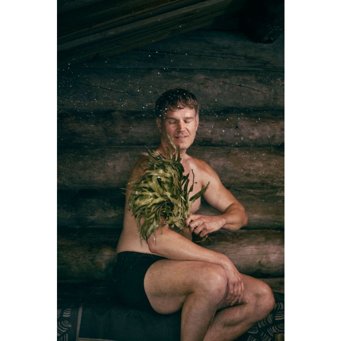 Rento gedroogde eucalyptustakken