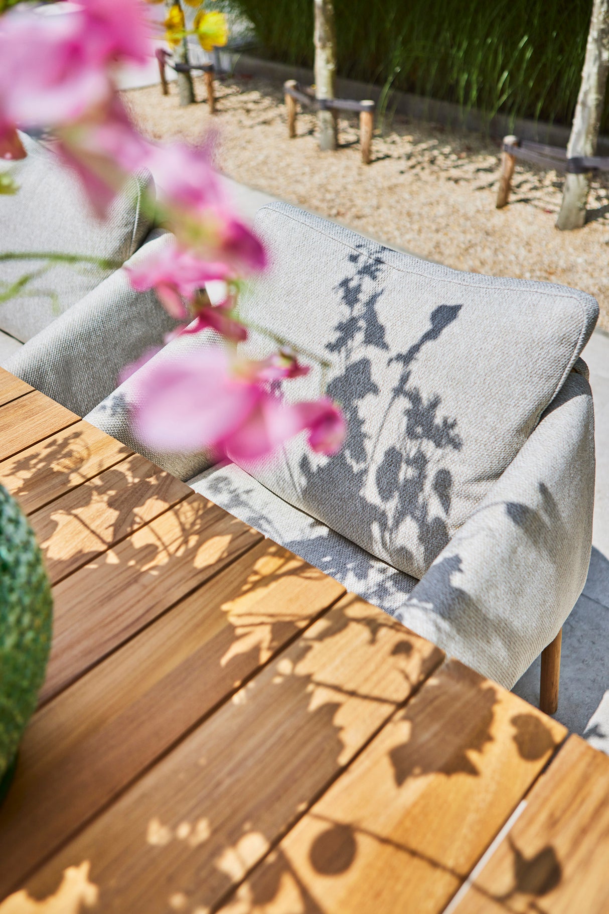 SUNS Bellano dining chair