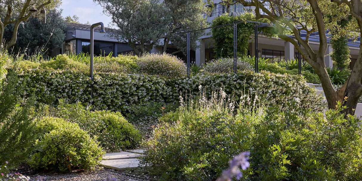 Jee-O Bloom 01 Buitendouche