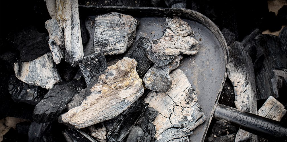 Big Green Egg Asverwijderingspan