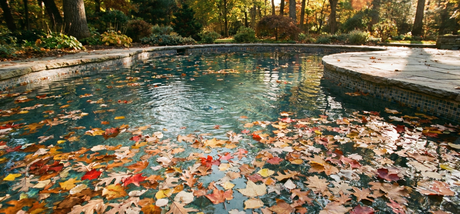 Bladeren uit je zwembad halen en weghouden