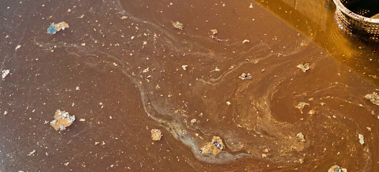 Waarom is mijn zwembadwater bruin?