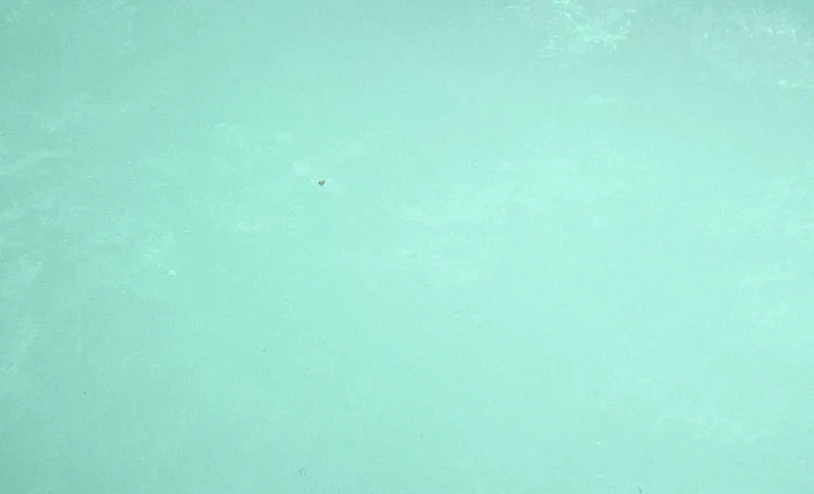 Mijn zwembadwater is troebel - en nu?