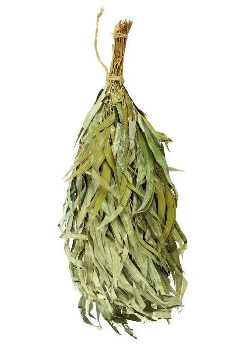 Rento gedroogde eucalyptustakken