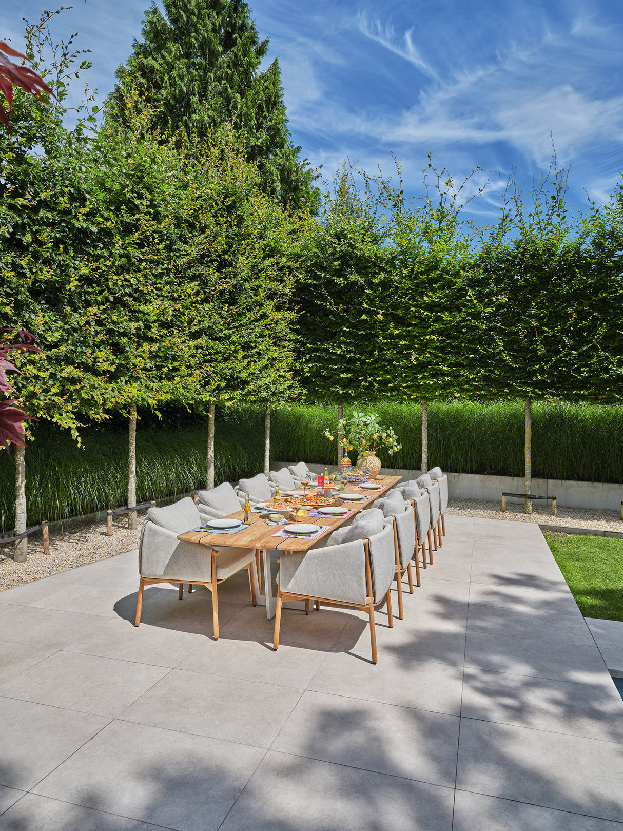 SUNS Bellano dining chair