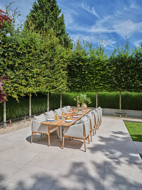 SUNS Bellano dining chair