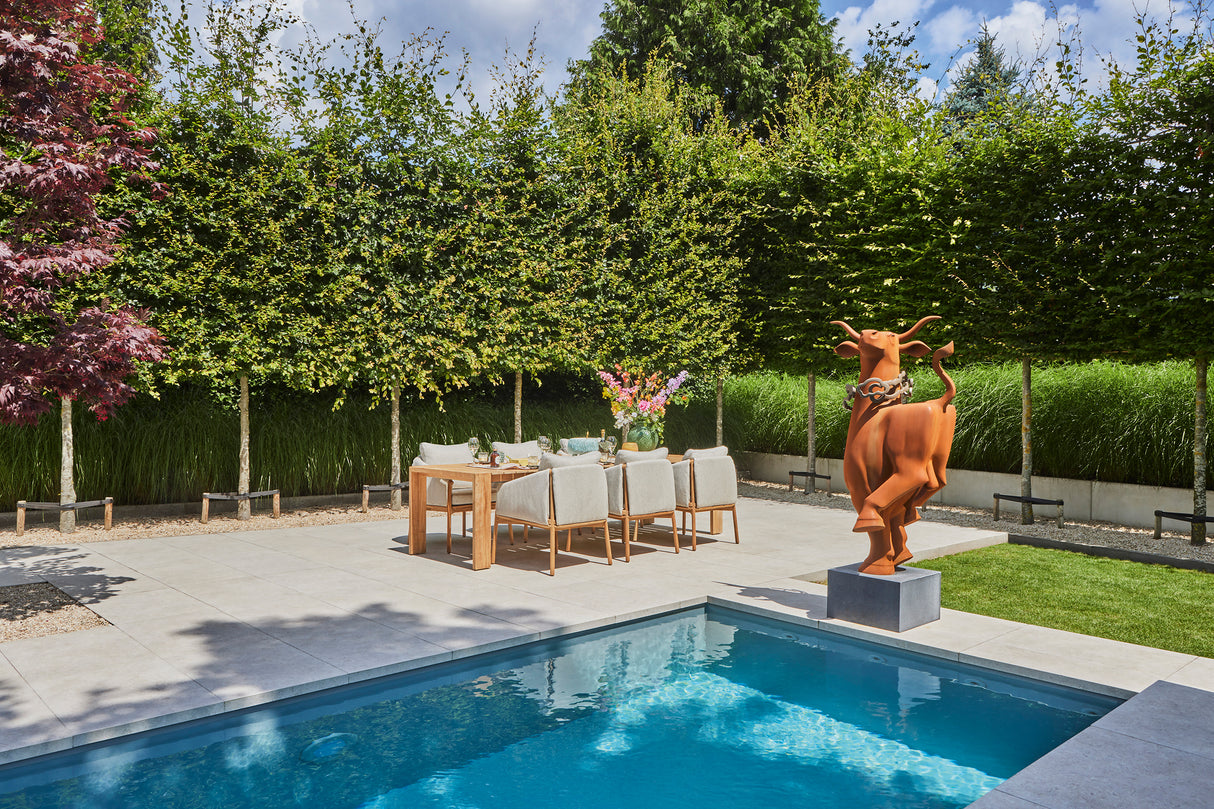 SUNS Bellano dining chair