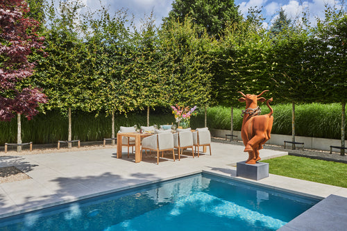 SUNS Bellano dining chair