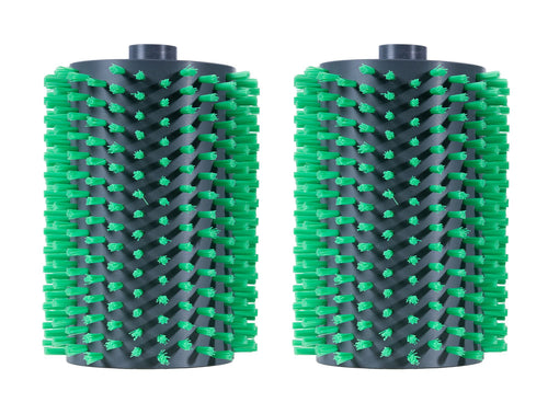 AquaForte Biopool plus borstelset