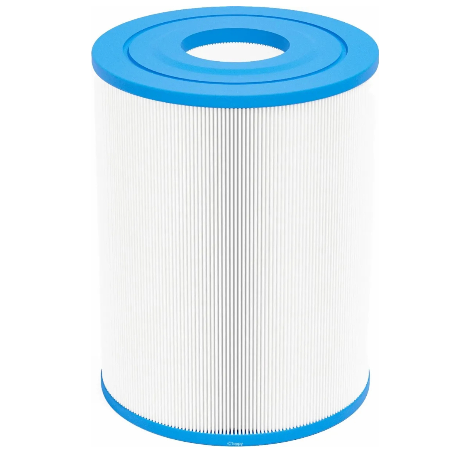 Spa filter SC732 (2 stuks) (C-4405)