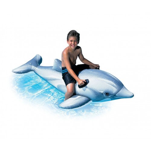 Dolphin Ride-on