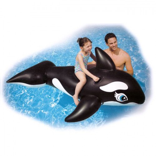 Whale Ride-on