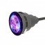 CCEI Mini-Brio 2 LED RGB 12W zwembadlamp