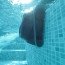 Dolphin Liberty 200 zwembadrobot