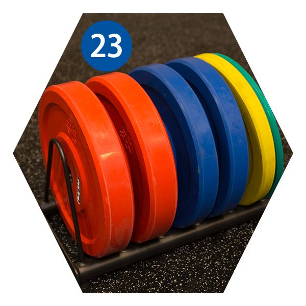 Body-Solid Weight Plate Storage