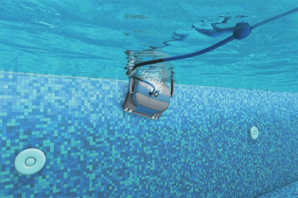 Dolphin zwembadrobot voor bodem en wand - Rhodos-shop.nl